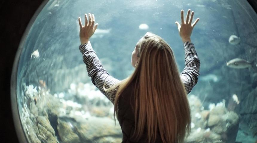 Yapılan Bir Araştırmada, Balıkları İzlemenin Sağlığa İyi Geldiği Bulundu