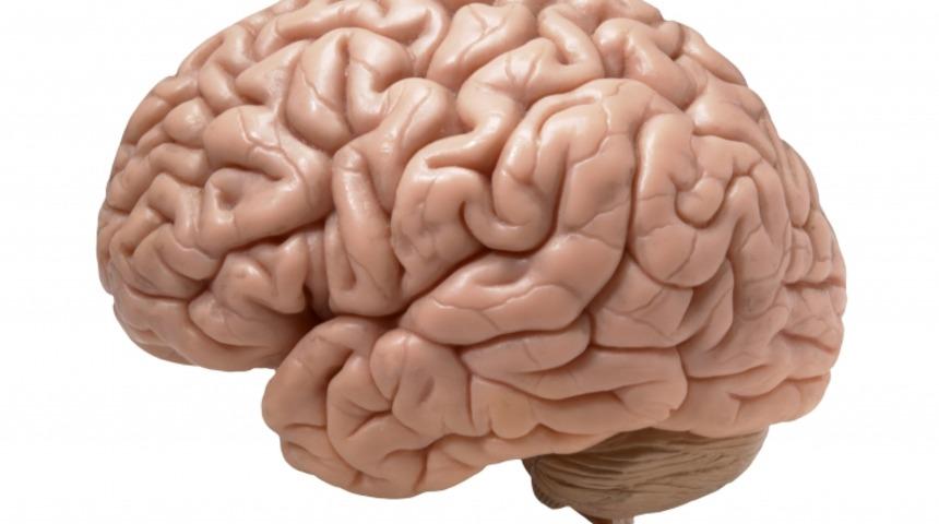 Beyninizin Nasıl Çalıştığını ve Onu Nasıl Geliştirebileceğinizi Anlatan Bir İnfografik