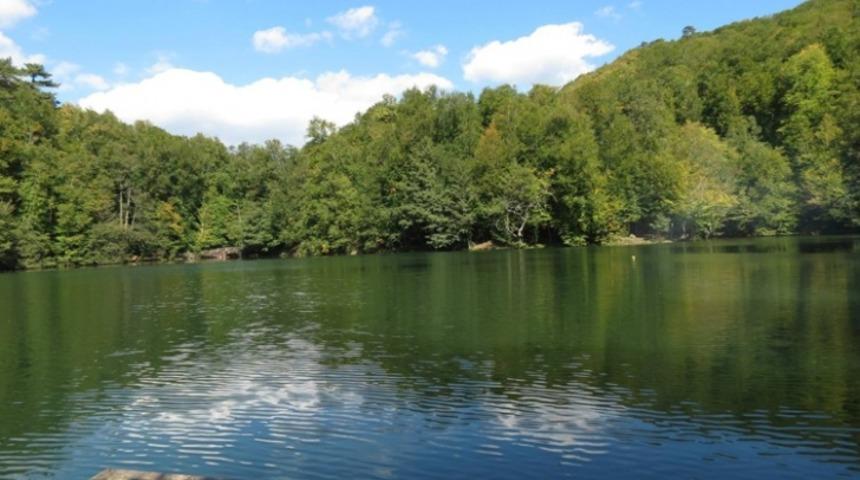 Adolf Hitler Hakkında Bilinmeyen 11 Bilgi