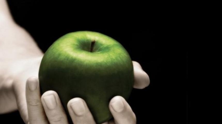 Edward'ın Kız, Bella'nın Erkek Olduğu Bir Twilight Okumak İster Misiniz?