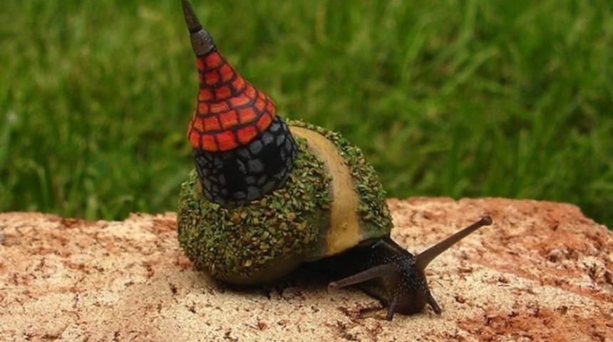 Neyse Ki Dünyada Çok Tontiş İnsanlar Da Var! Ezilmesinler Diye Salyangozları Boyuyorlar