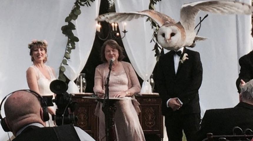 Kronik Can Sıkıntınızı Gidermeye Aday, Zamanlaması Harika 21 Fotoğraf