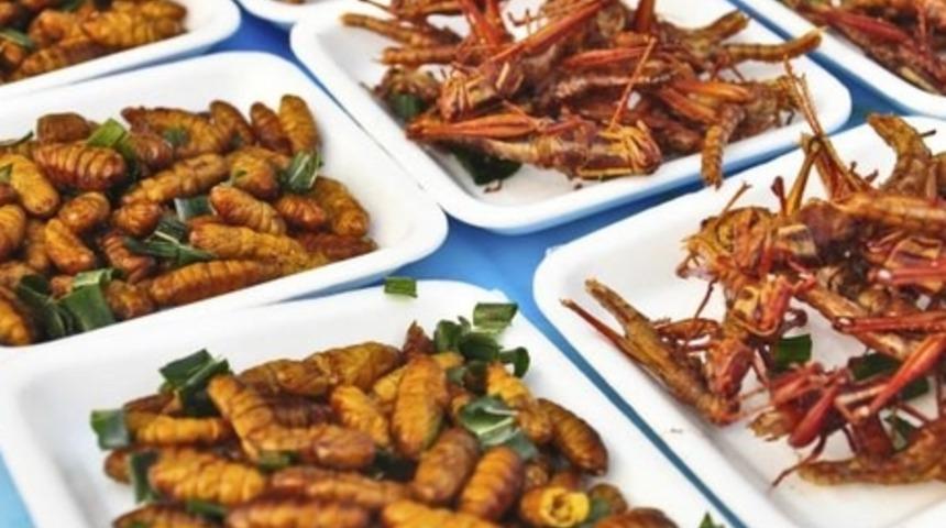 Hollanda H&uuml;k&uuml;meti: Daha Fazla B&ouml;cek Yiyin