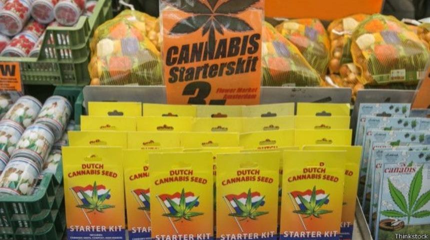 Amsterdam'da L&uuml;ks Restorandan Organik Esrar Hizmeti