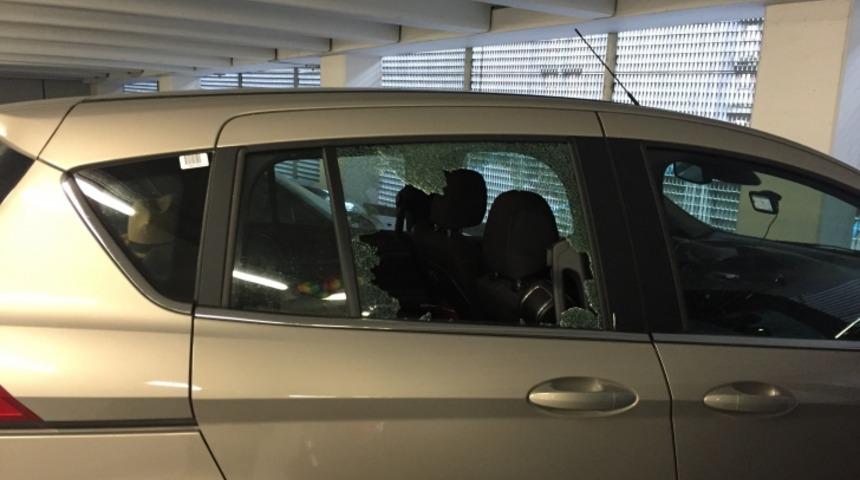 Bir Hırsızlık, Irk&ccedil;ılık ve Amsterdam Medeniyetinin &Ccedil;&ouml;k&uuml;ş&uuml; &Uuml;zerine