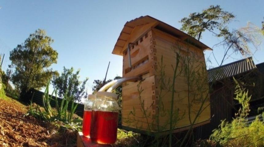 Arıcılara M&uuml;jde! Baba Ve Oğlunun Yaptıkları İcat Sayesinde Artık Balı &Ccedil;eşmeden Su Doldurur Gibi Alabiliyoruz!