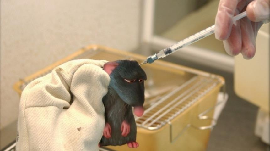 Disney'in En Çok Sevilen Karakterlerinin Günümüz Dünyasındaki "Mutsuzlukları"