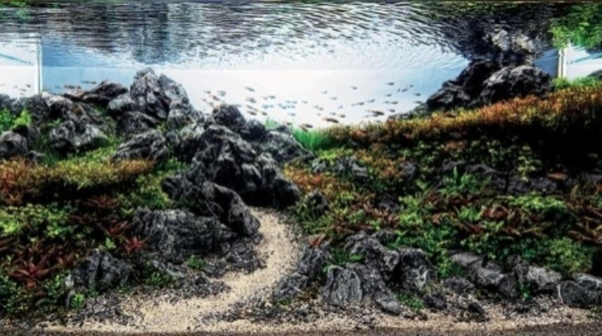 İnanması G&uuml;&ccedil; Ama: Bunlar Manzara Fotoğrafı Değil Akvaryum!