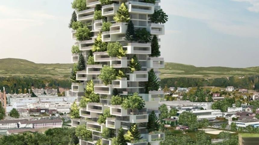 Biz Apartman Dikmek İ&ccedil;in Ağa&ccedil;ları Kese Duralım İsvi&ccedil;re'de İ&ccedil;inde K&uuml;&ccedil;&uuml;k Bir Orman Olan G&ouml;kdelen Yapıyorlar