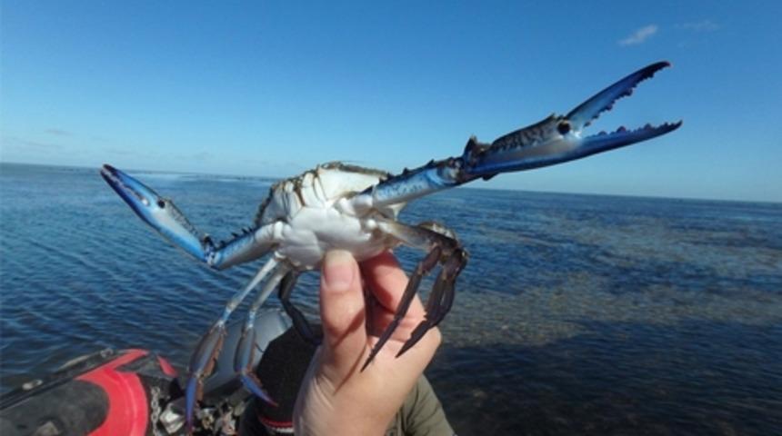 Photoshop Savaşlarında En &Ccedil;ok Kullanılan 13 Fotoğraf Ve &Ccedil;ok G&uuml;leceğiniz "Son Halleri"