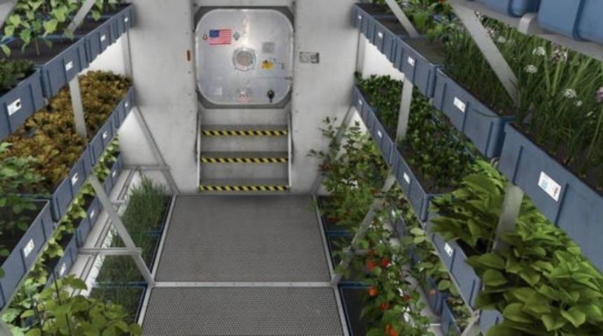 Uzayda Tarım Yapılabilecek Mi?