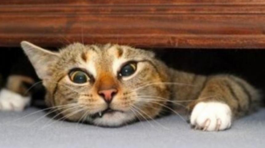 Bur&ccedil;lara G&ouml;re Stres Tetikleyiciler ve Bunlarla Başa &Ccedil;ıkmanın Yolları