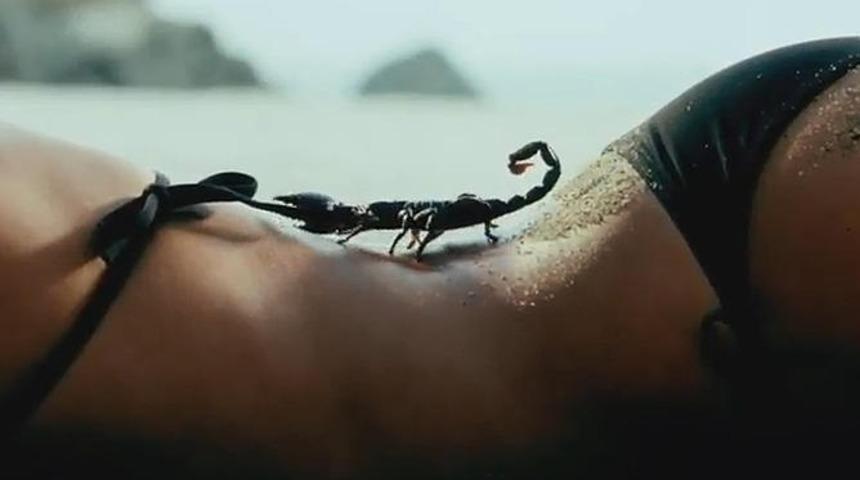 Hangi Burç Nasıl Baştan Çıkarılır?