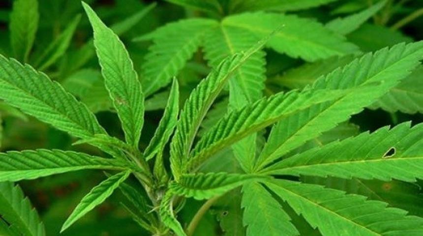 Yakın Tarihte Ger&ccedil;ekleşen Bu Olaylar Hakkında Neden Daha Fazla Bilgi Sahibi Olmayasın?