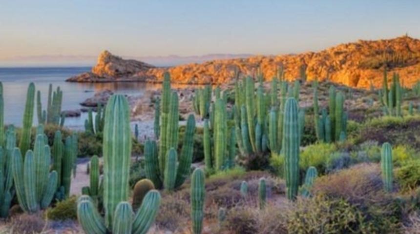 Bu Güzellikler Sadece Meksika'da