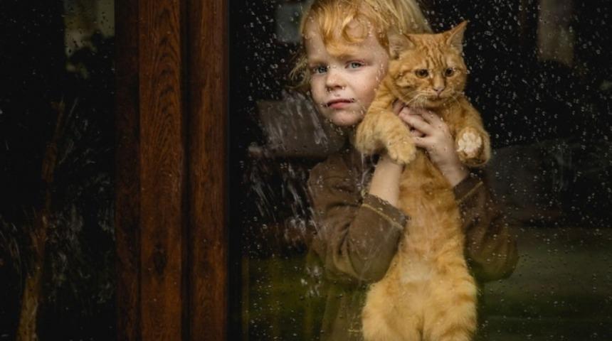 D&uuml;nya Genelinde &Ccedil;ocuklar Ve Hayvanlar Konseptli Fotoğraf Yarışması Sonlandı: Finale Kalan 40 Fotoğraf Ve Kazanan Eser Burada