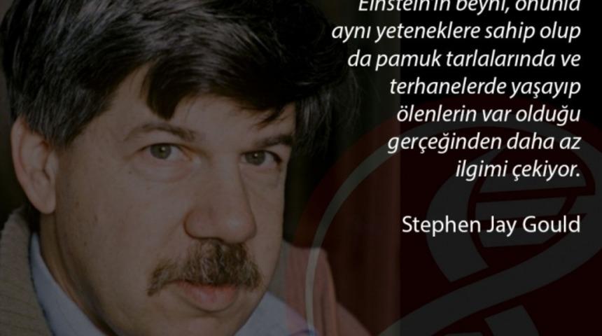 Fırsat, Her Şeydir!