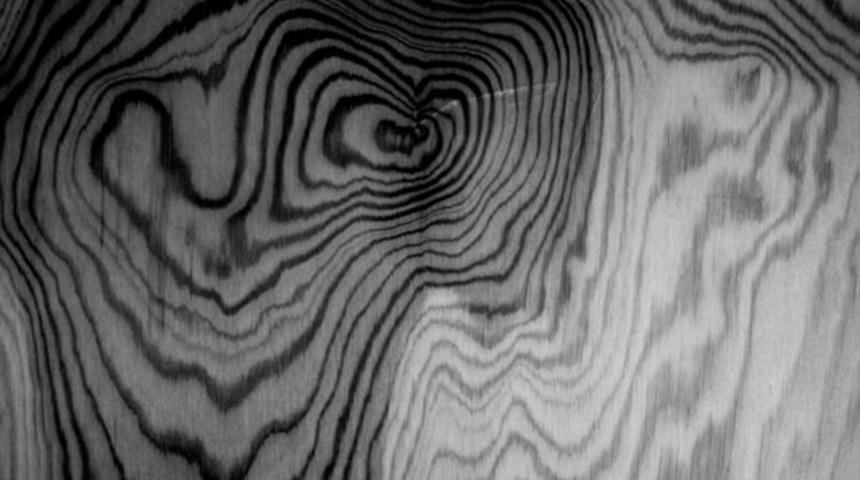 Amansız Komplo Teorilerinin Sebebi "Apofeni" ile Hayatımıza Nasıl Renk Katabiliriz?