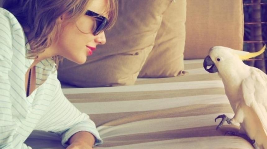 Biz Onu Bütün Ünlülerin Kankası Sanırdık; Halbuki Taylor Swift'in En Büyük Kankaları Hayvanlarmış!