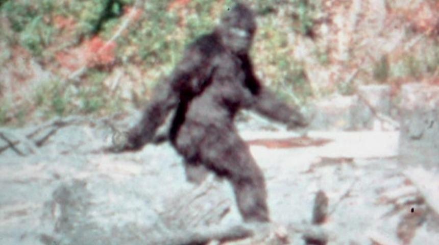 Yeti - Koca Ayak Gerçekten Var Mı? 