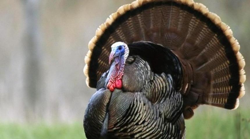 Ezberlerinizi Bir Anda Bozacak İlginç Bilgiler!