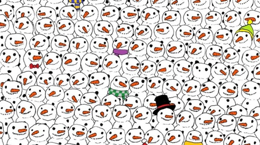 Sosyal Medyanın En &Ccedil;ok Paylaşılan Bulmacasının B&uuml;t&uuml;n Versiyonları: "Pandayı Bul!"