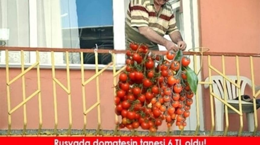 Rusya'da Domatesin Tanesi 6 Lira Olunca Domates Capsleri Sosyal Medyaya Salça Oldu