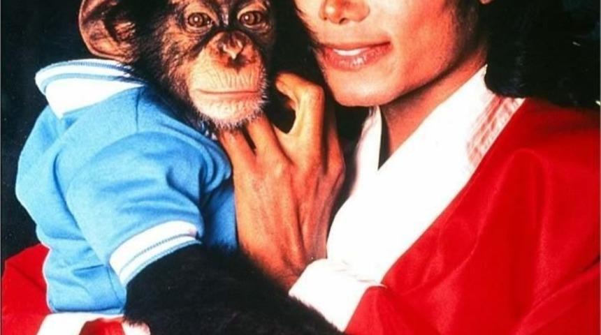 D&uuml;nyanın En Zengin 10 Hayvanı