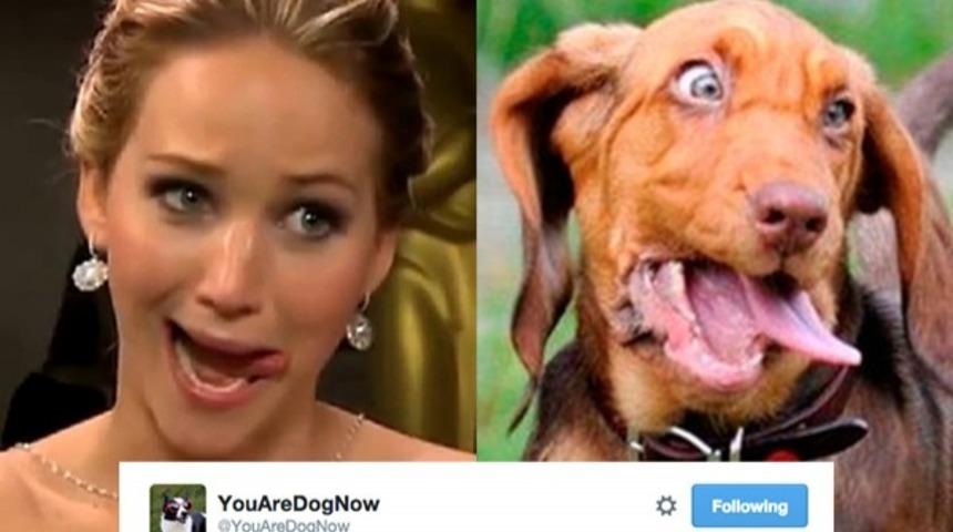 Bu Twitter Hesabı Fotoğraflarınızın Tıpatıp Aynısını Buluyor! Hem De K&ouml;pek Olarak!