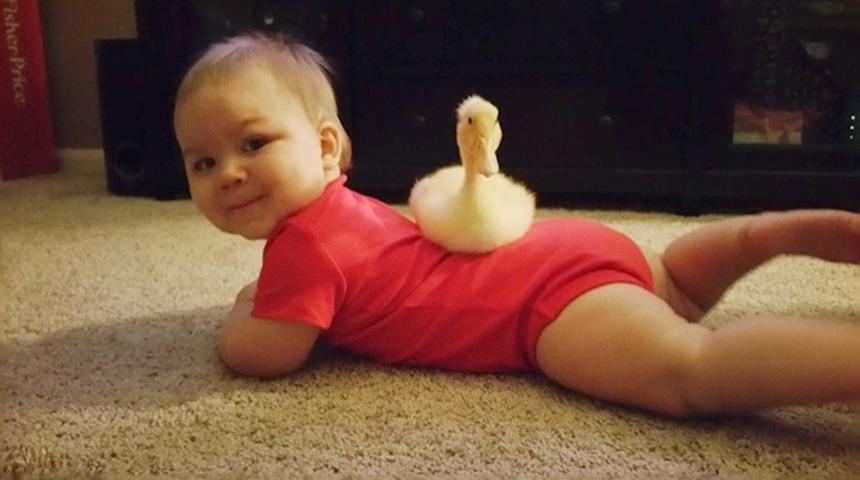 Bebek Tyler Ve &Ouml;rdek Bee'nin En Kral Kankalara Taş &Ccedil;ıkaracak Dostlukları!