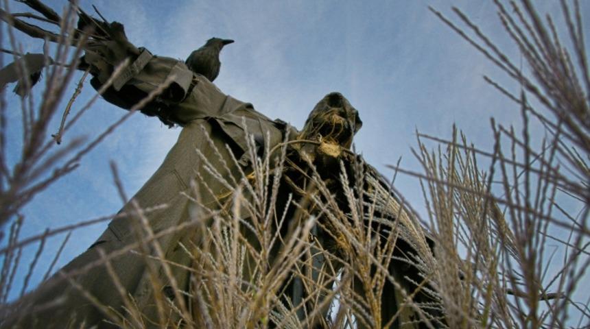 Bostan Korkulukları Gerçekten İşe Yarıyor mu?