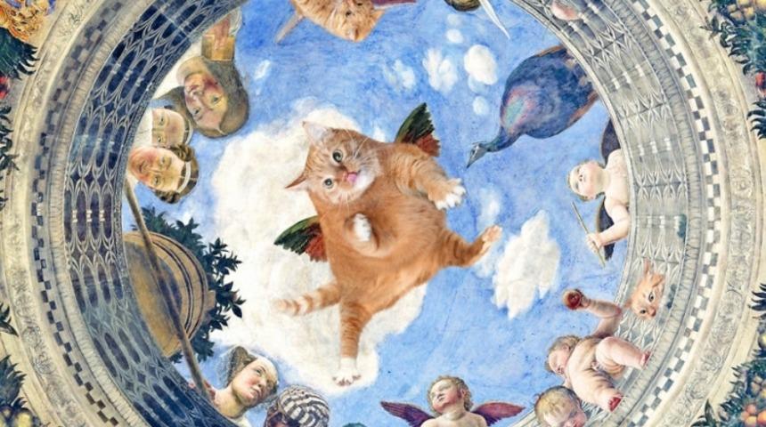 Kediler Aleminin En Sanat&ccedil;ı Ruhlusu ile Tanışın: &Uuml;nl&uuml; Tabloları İşgal Eden Şişman Kedi, Zarathustra!