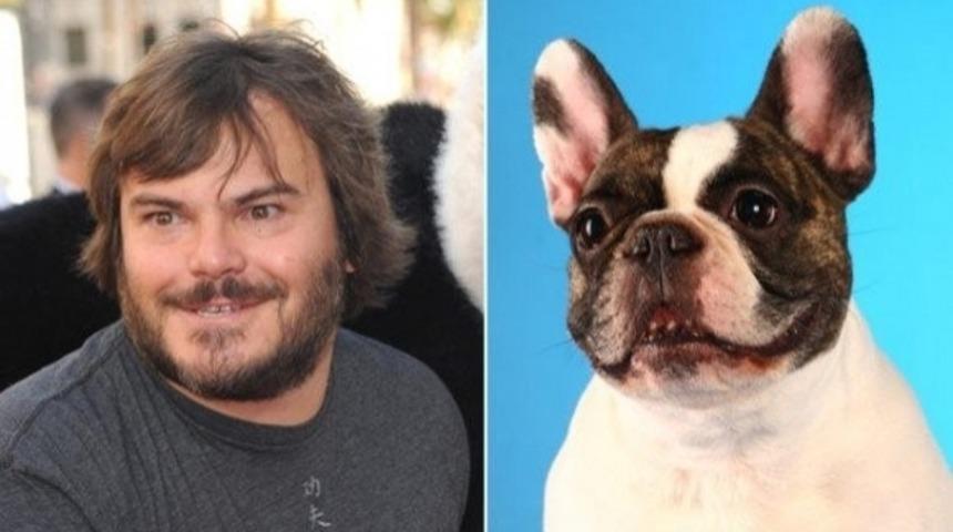 Bu Yılın Oscar Adayı Akt&ouml;rleri & Onlara Tıpatıp Benzeyen K&ouml;pekler!