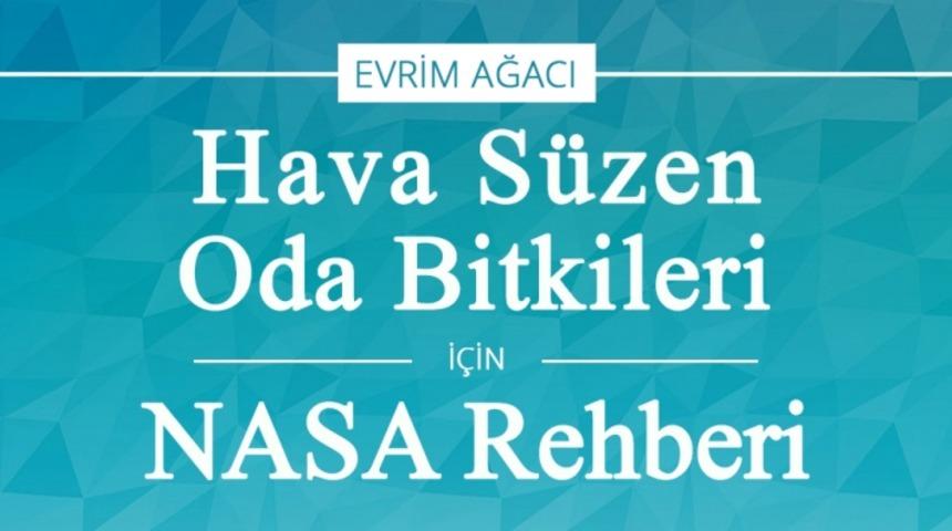 Odanızda Hangi Bitkilere Yer Vermelisiniz?