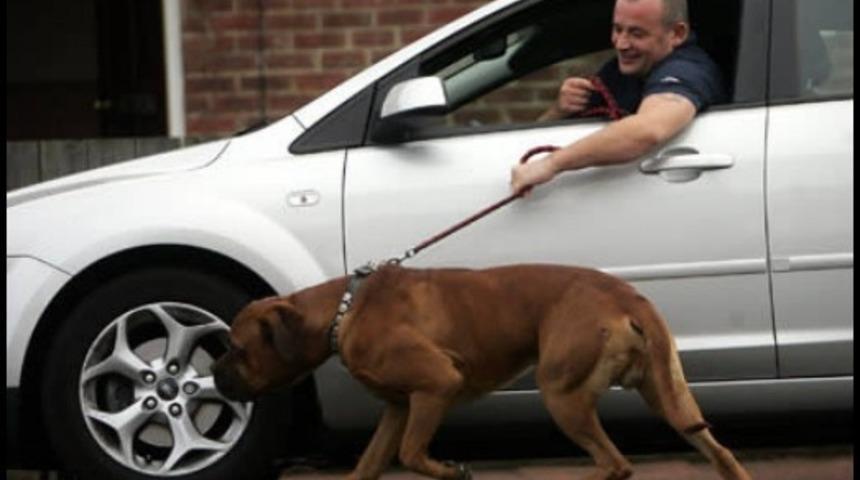 &Uuml;şenge&ccedil; Misiniz? &Ouml;yleyse Neden Zeki Olduğunuzu A&ccedil;ıklıyoruz