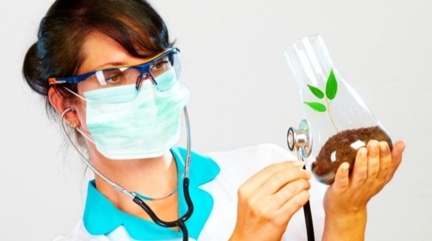 Bitkiler de Kansere Yakalanır mı?