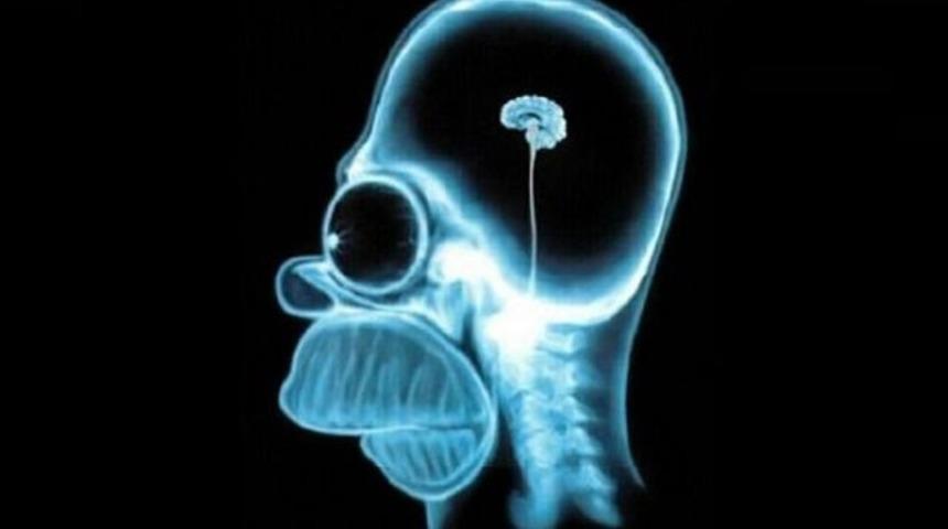 İnsan V&uuml;cudu Hakkında Muhtemelen Bilmediğiniz 10 Ger&ccedil;ek