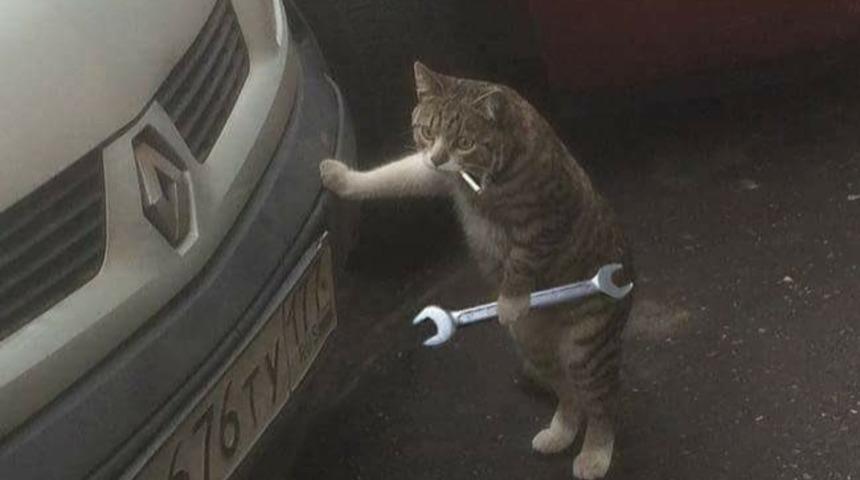 İşte Birbirinden Anlamsız Fotoğraflar! 