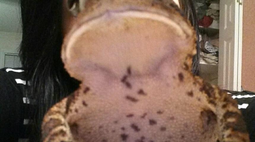 Cuk Oturmak Deyiminin Hakkını Fazlasıyla Veren 19 Fotoğraf Karesi