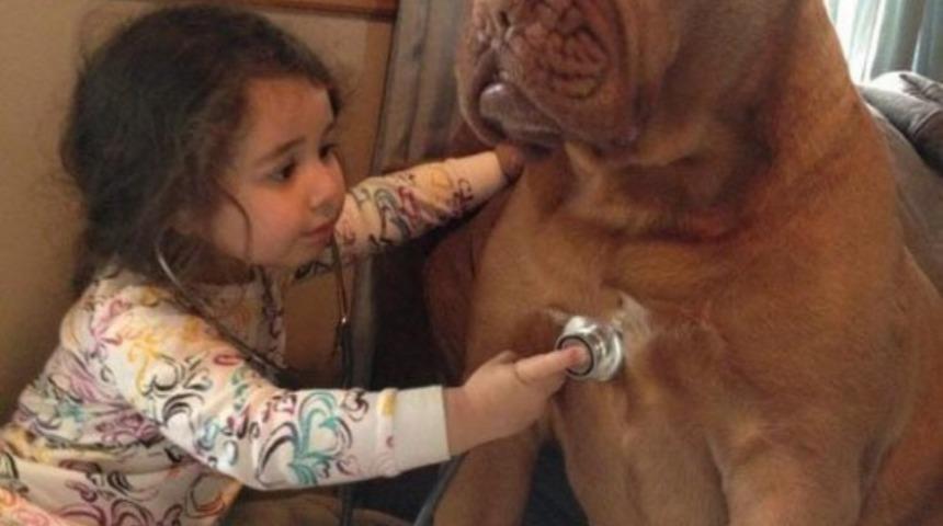 Twitter'ın Yeni Hesaplarından Pozitif Fotolar'ın Paylaştığı Birbirinden Pozitif 21 Fotoğraf