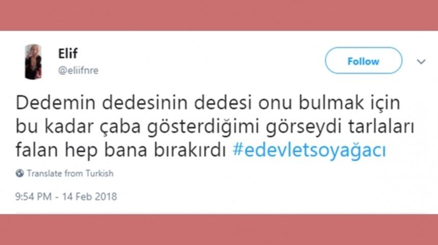 Twitter'da 'Soyağacı' goygoyu son s&uuml;rat devam ediyor.