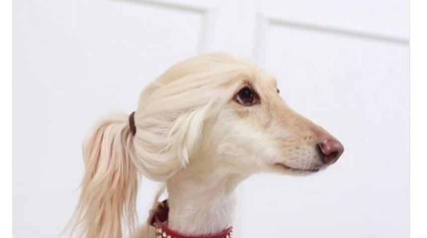 İşte Mart ayının en komik Tweet'leri