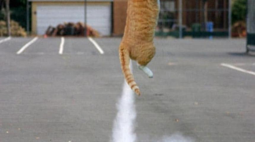 Doğru zamanda doğru yerde &ccedil;ekilmiş 15 fotoğraf