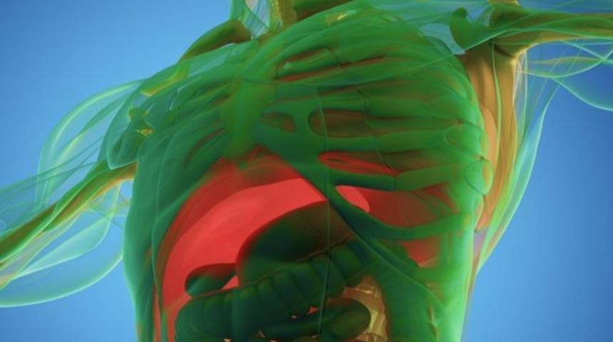 Oru&ccedil; tuttuğunuzda v&uuml;cudunuzda neler olur?