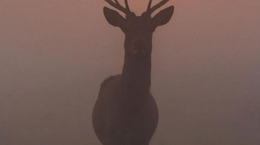Harika zamanlama ile &ccedil;ekilmiş algımızla alay eden fotoğraflar (Yeni Fotoğraflar)
