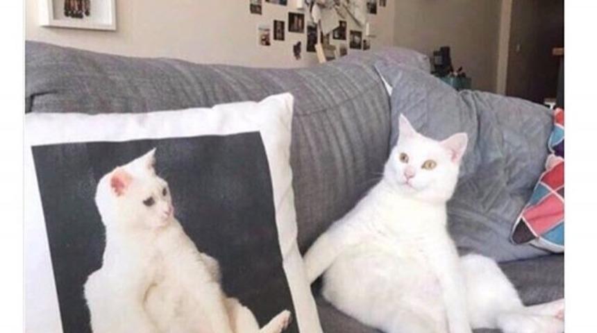 G&uuml;lmekten kırılmak isteyenler işte haftanın en komik Tweet'leri!