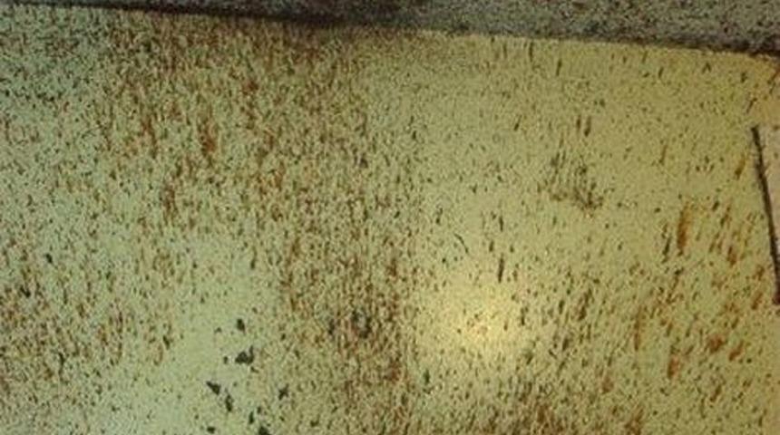 Bu fotoğraflara baktık&ccedil;a ne kadar şanslı biri olduğunuzu bir kez daha anlayacaksınız!