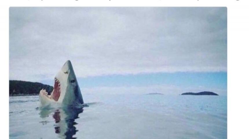 İhtiyacınız olan kahkaha için haftanın en komik Tweet'leri