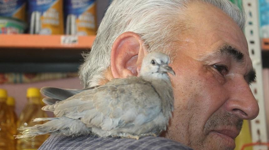 Guguk&ccedil;ukla bakkalın dostluğu şaşırtıyor