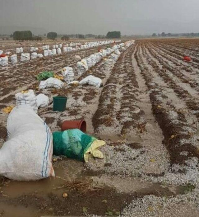 Dolu yağışı çiftçileri zora soktu